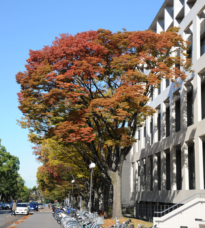 DSC_0560-small.JPG DSC_0560-small.JPG